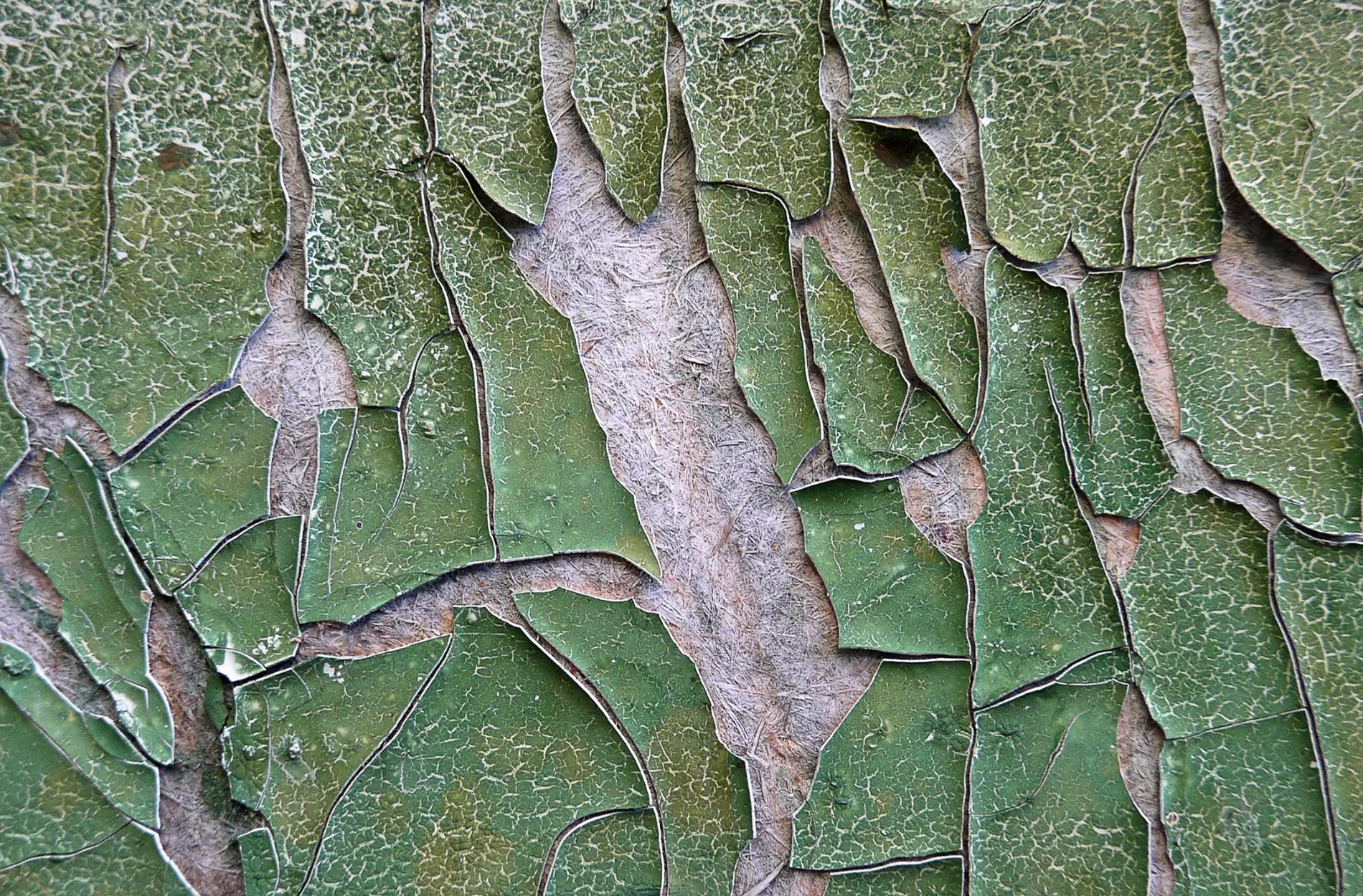 paint cracking